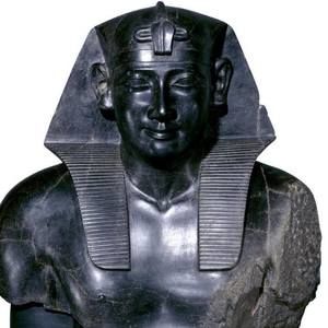 Meet your Posher, Oscar